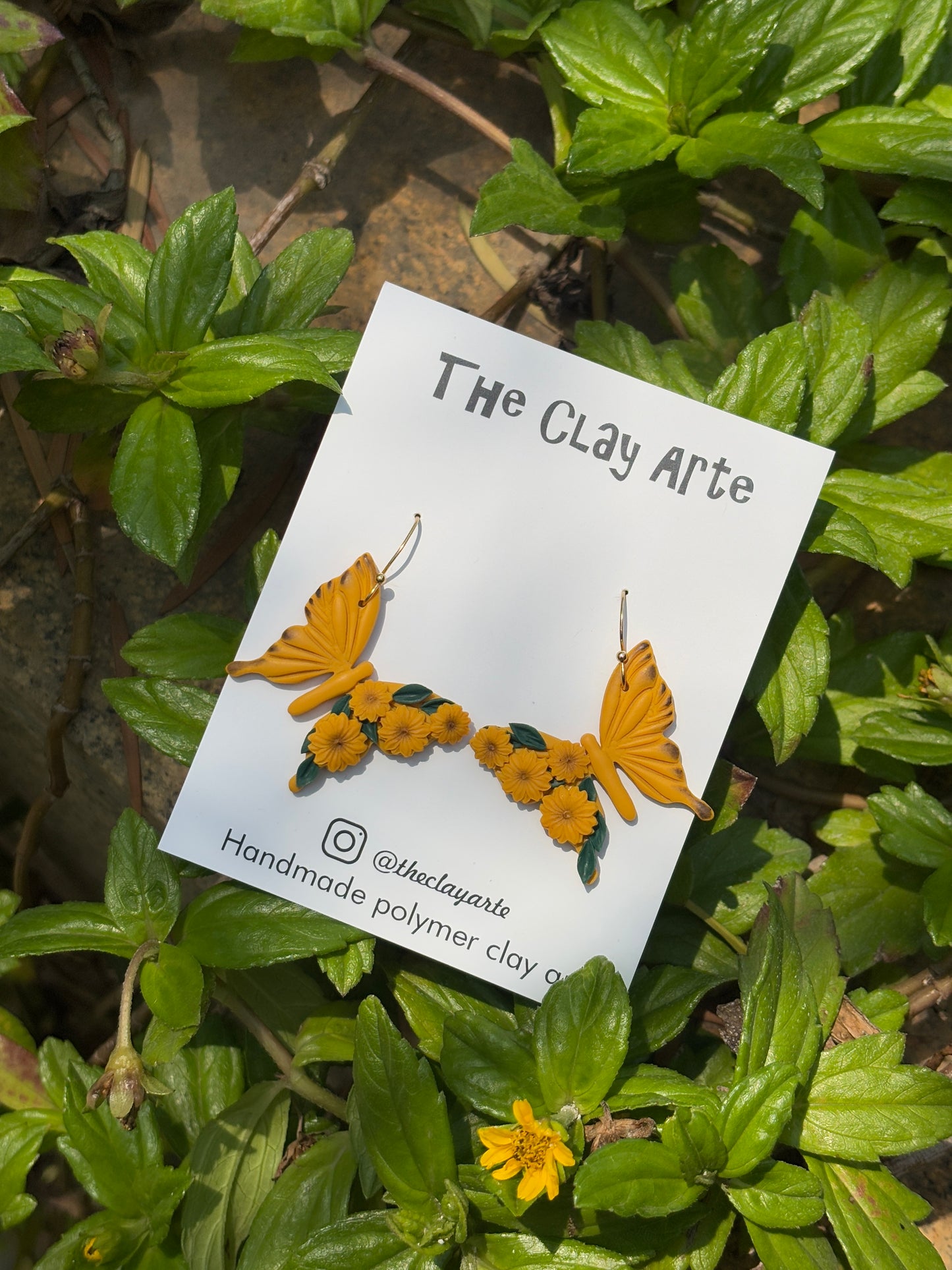 Butterflies and Blooms
